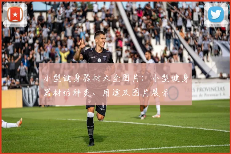 小型健身器材大全图片:小型健身器材的种类、用途及图片展示