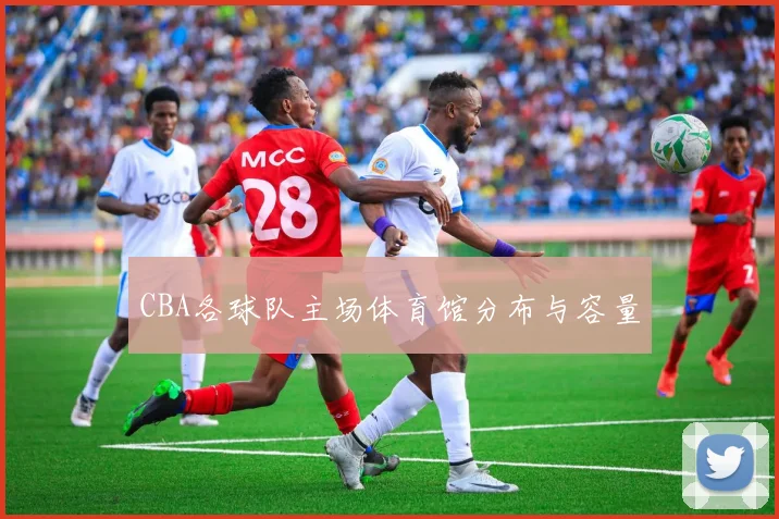 CBA各球队主场体育馆分布与容量