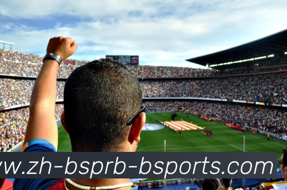 B体育平台生态图